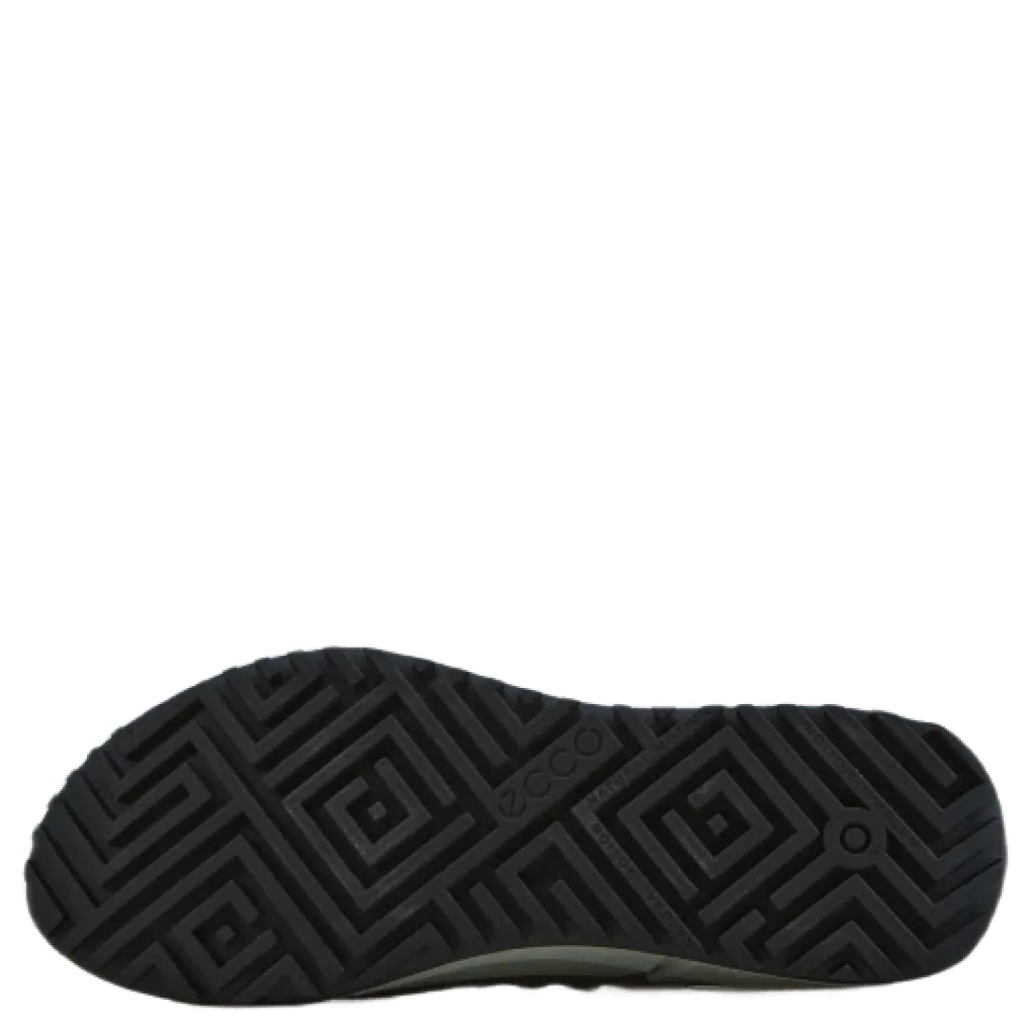 Ecco Biom 2.0 W Gravity/gravity