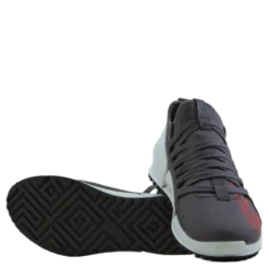 Ecco Biom 2.0 W Gravity/gravity