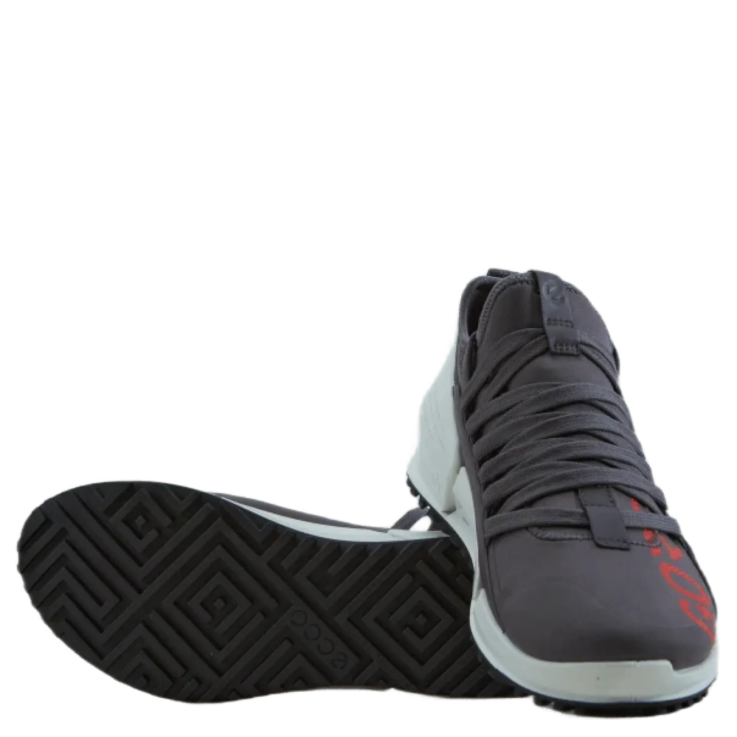 Ecco Biom 2.0 W Gravity/gravity