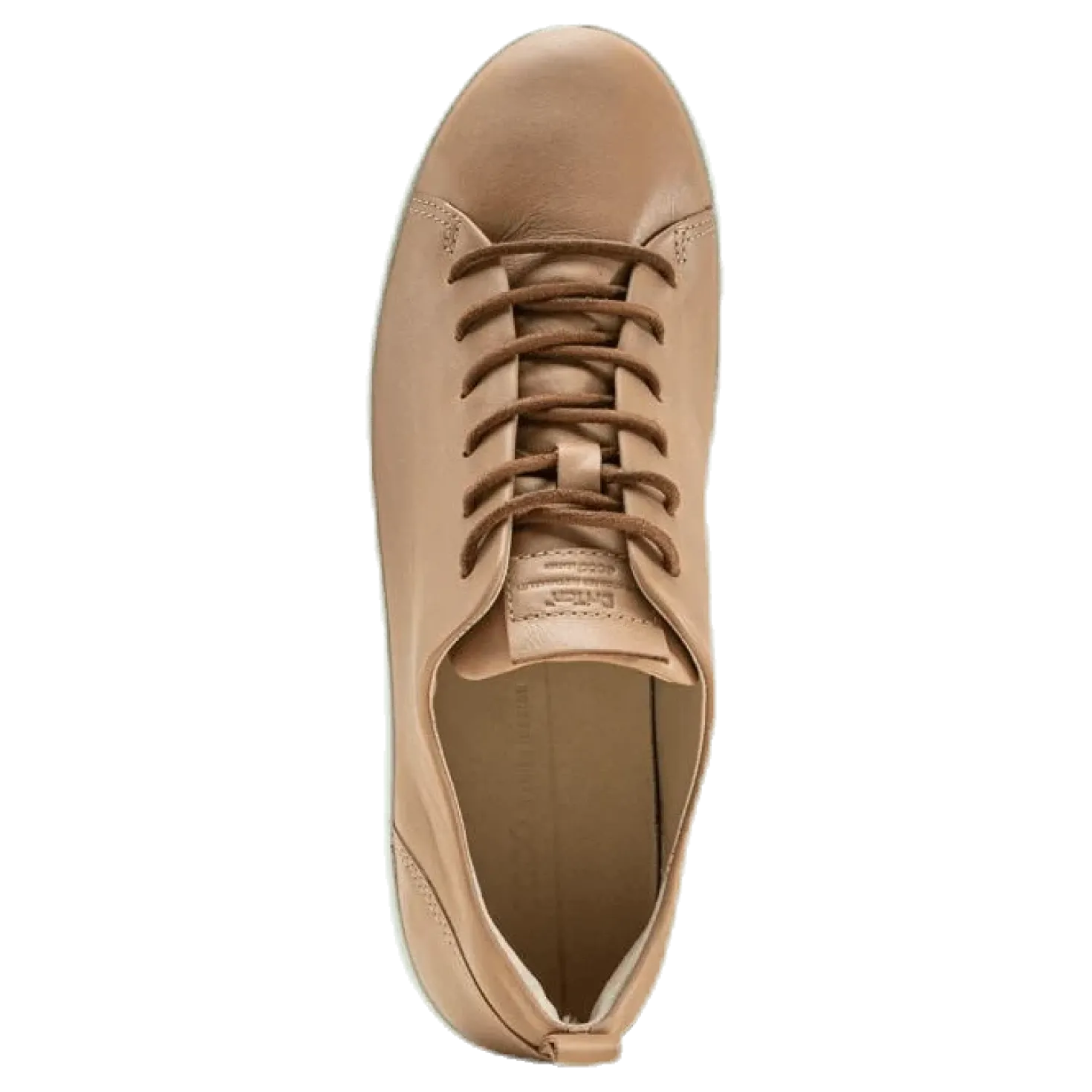 Ecco First Brown