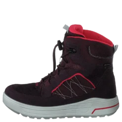 Ecco Urban Snowboarder Fig/teaberry