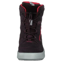 Ecco Urban Snowboarder Fig/teaberry