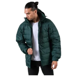 Edzo Down Jacket Green