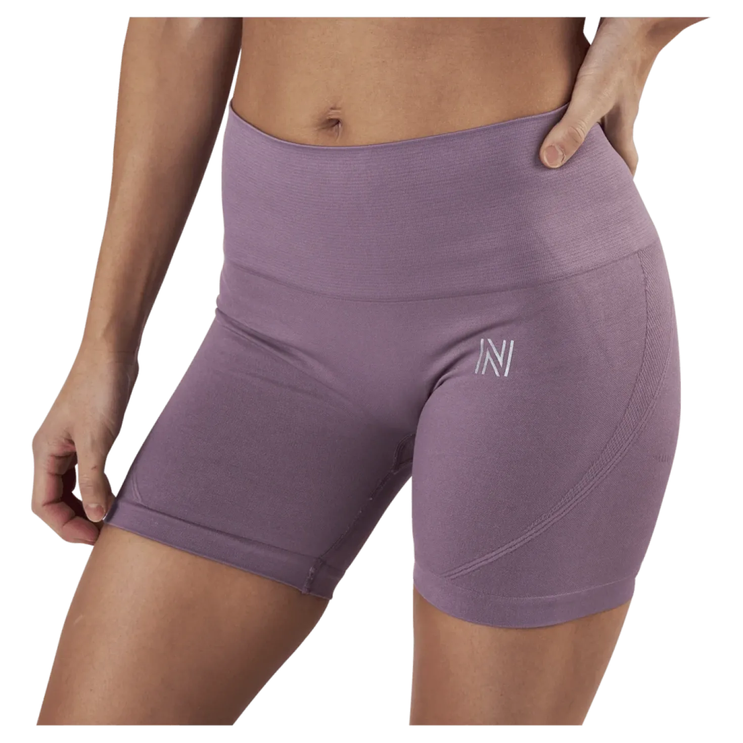 Erica Seamless Biker Shorts Purple