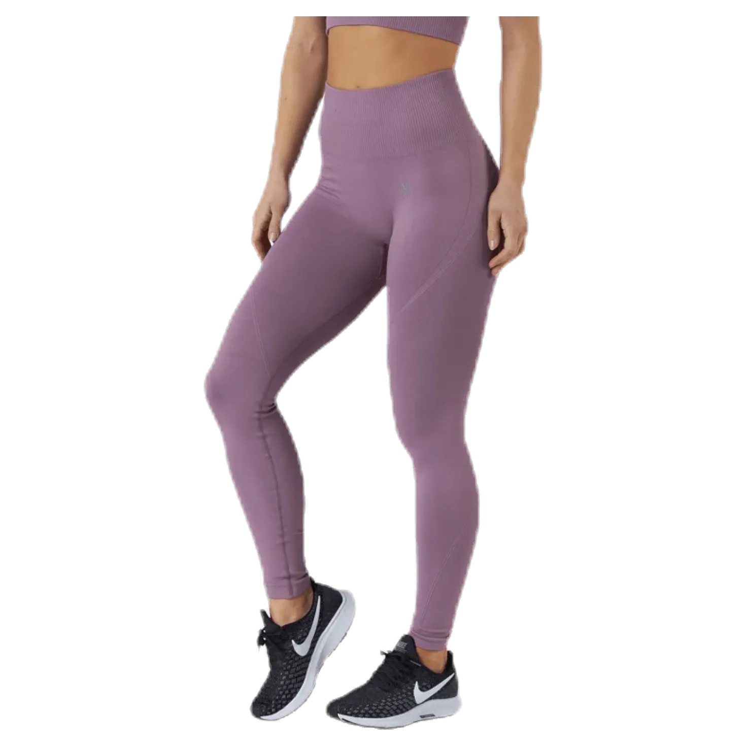 Erica Seamless Tights Purple