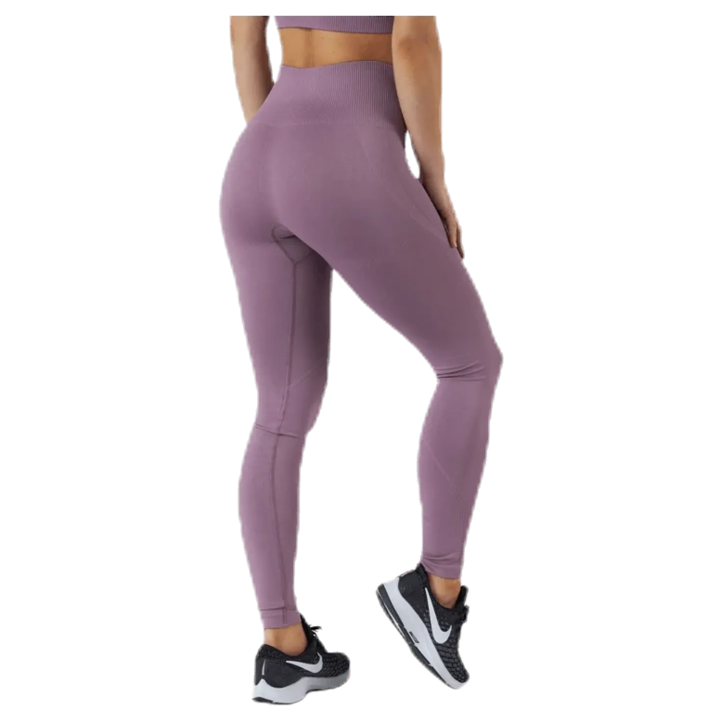 Erica Seamless Tights Purple