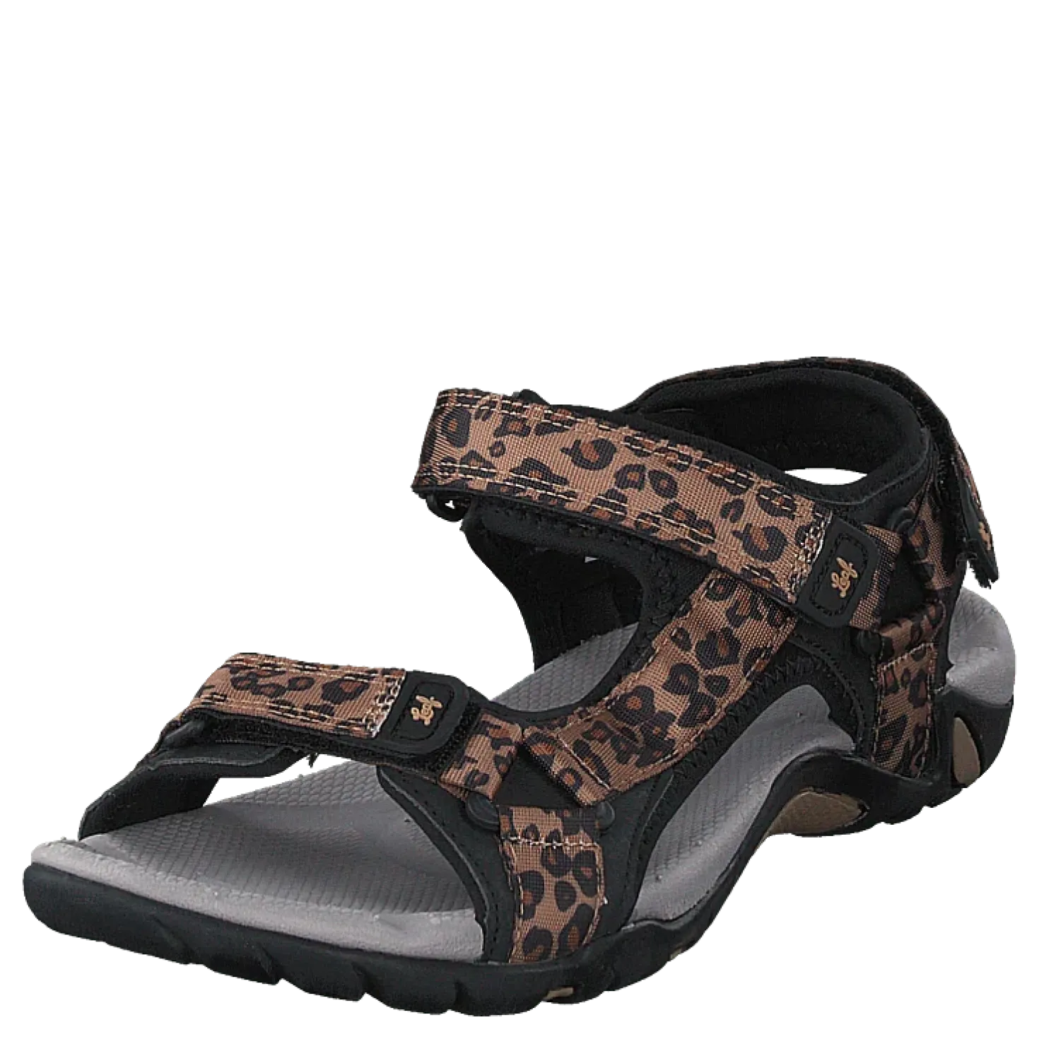 Esbo Leopard