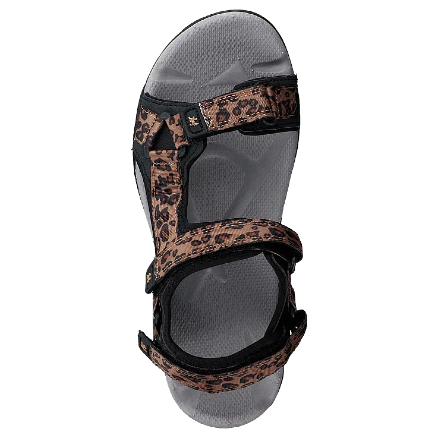 Esbo Leopard