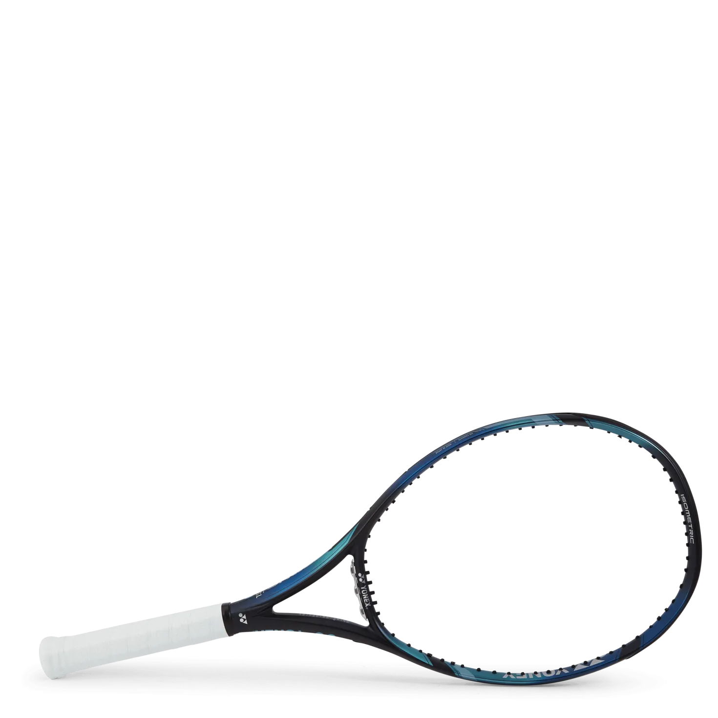 Ezone 100 Sl 270g