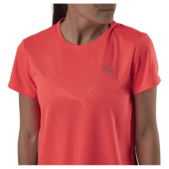 Favorite Ss Tee Orange