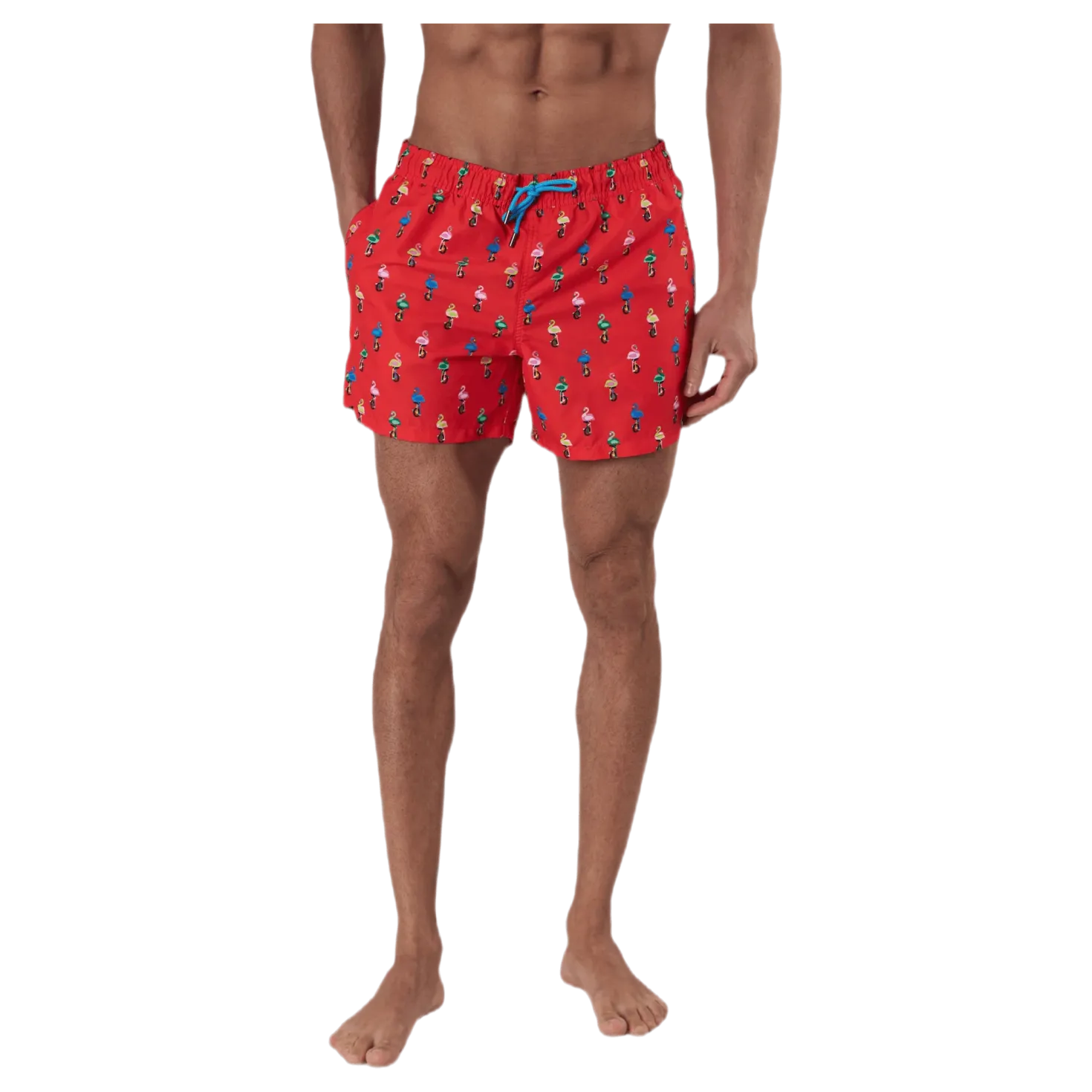 Flamingo Swimshorts Red