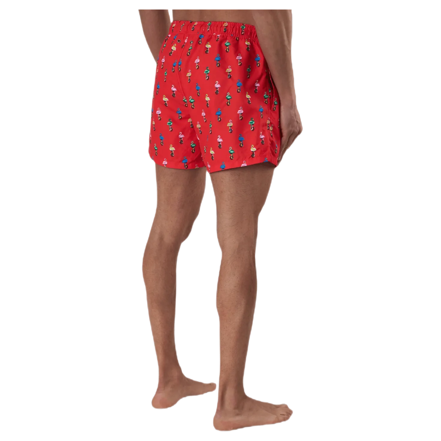 Flamingo Swimshorts Red