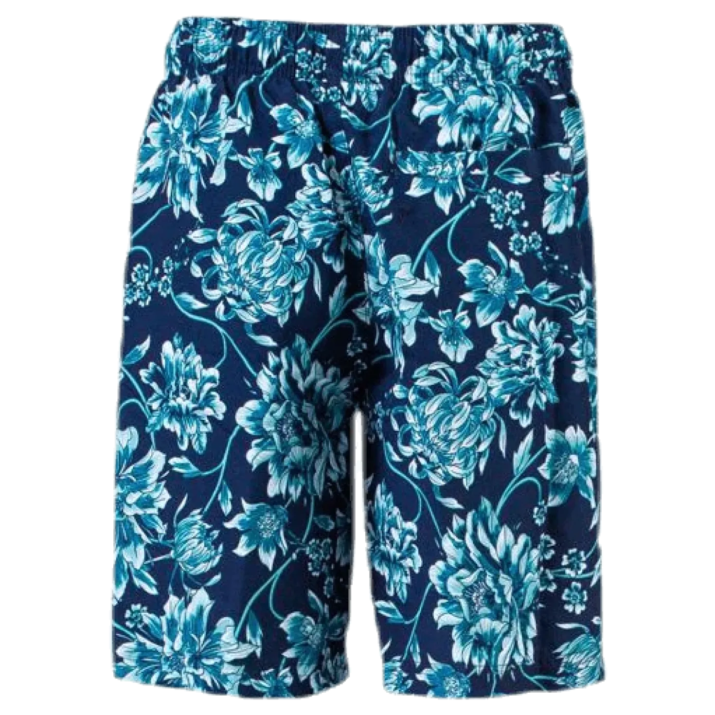 Forestfield Printed Leisure 17" Watershort Blue
