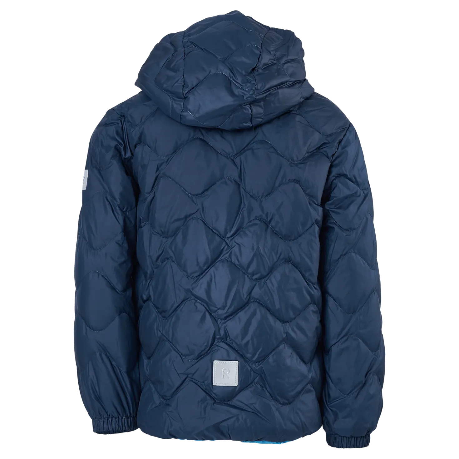 Fossila Navy