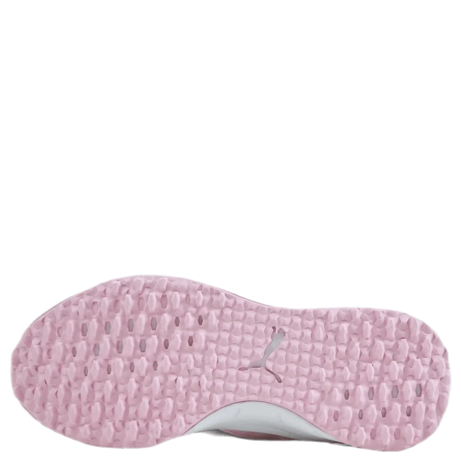 Fusion Evo Pink
