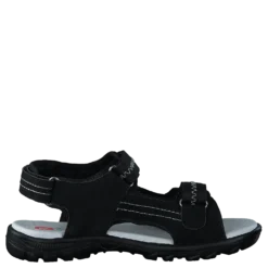 Gadfly Black/Grey 01