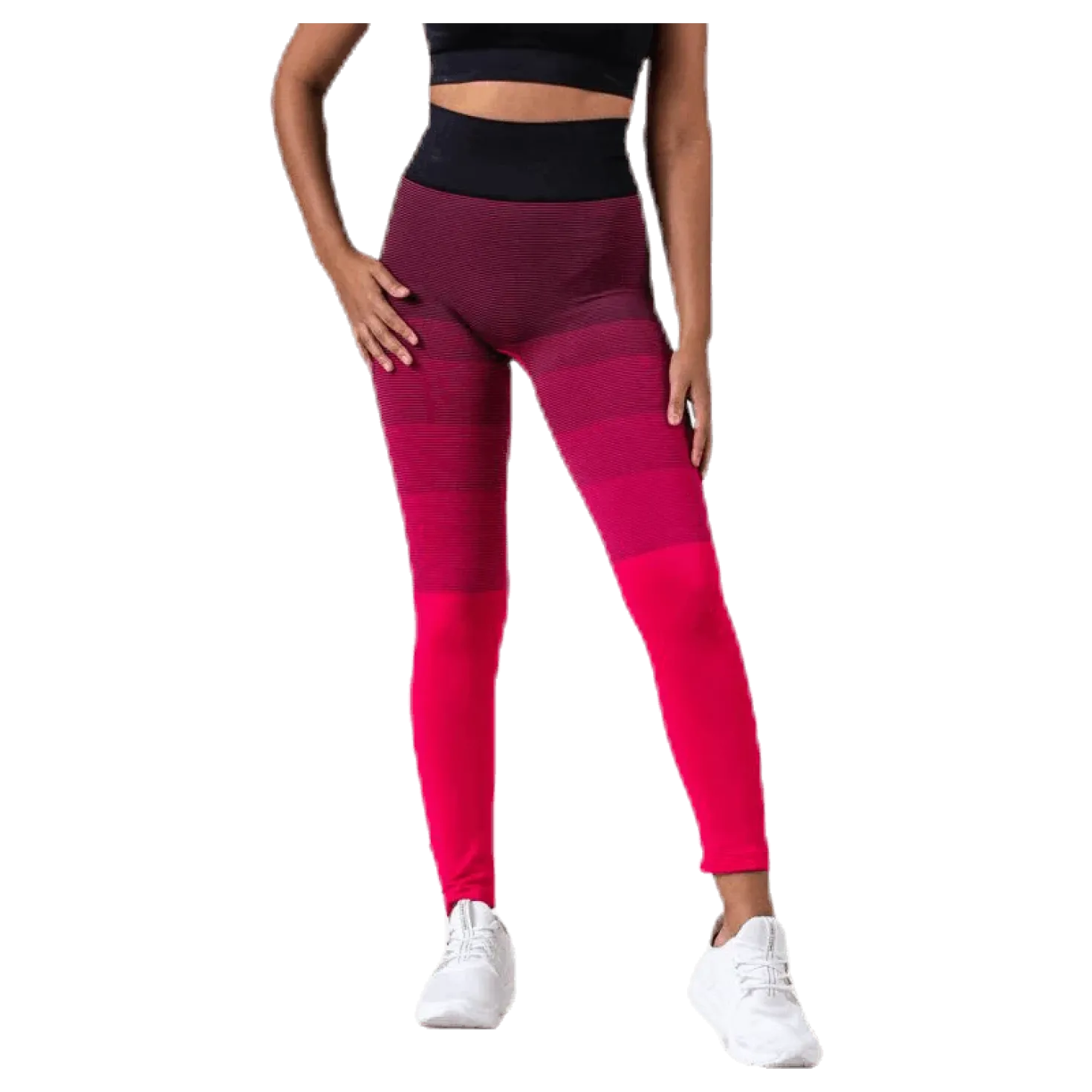 Gradient Seamless Tights Pink