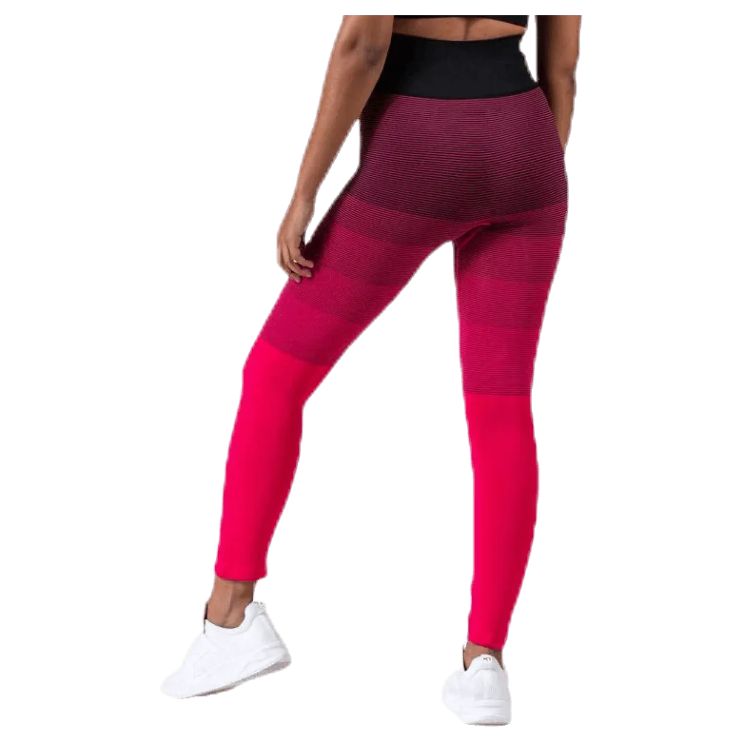 Gradient Seamless Tights Pink