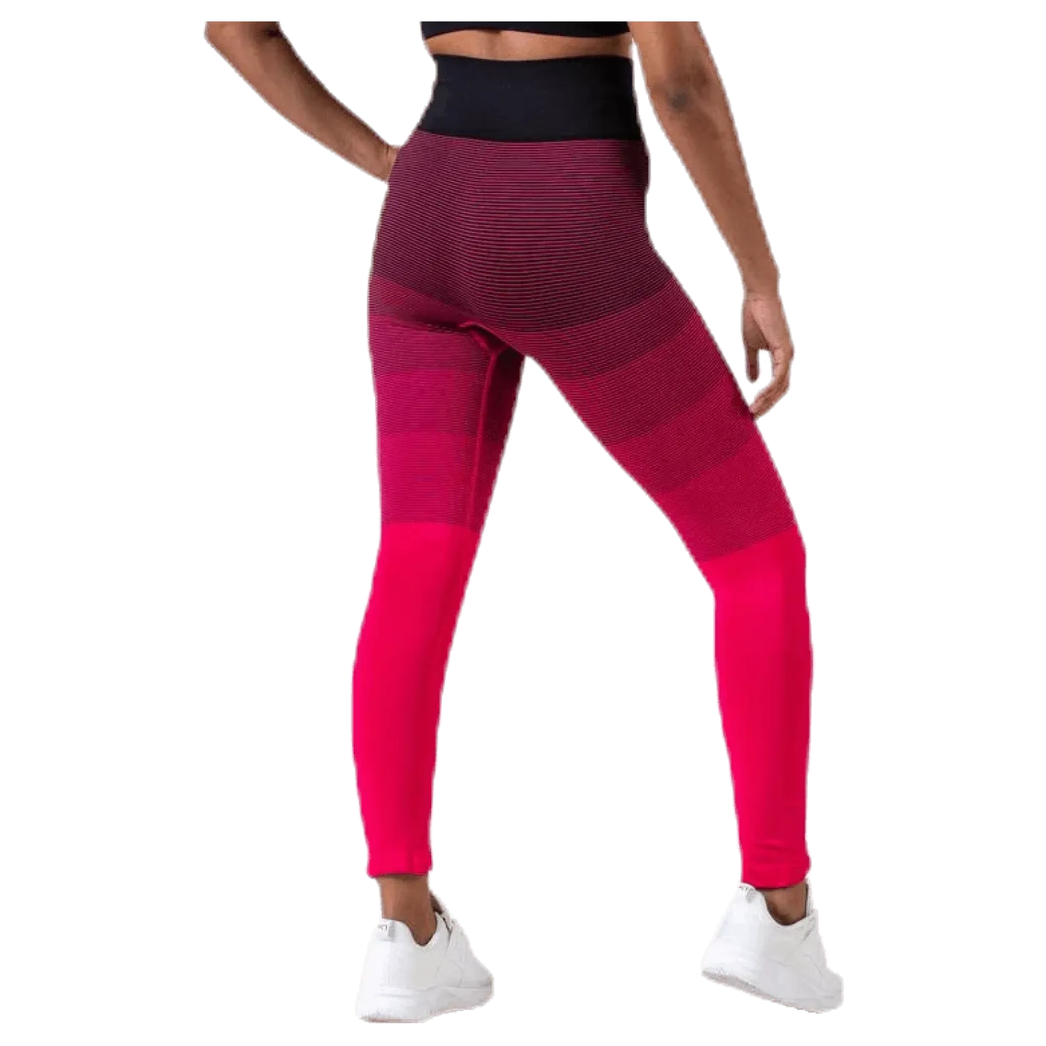 Gradient Seamless Tights Pink