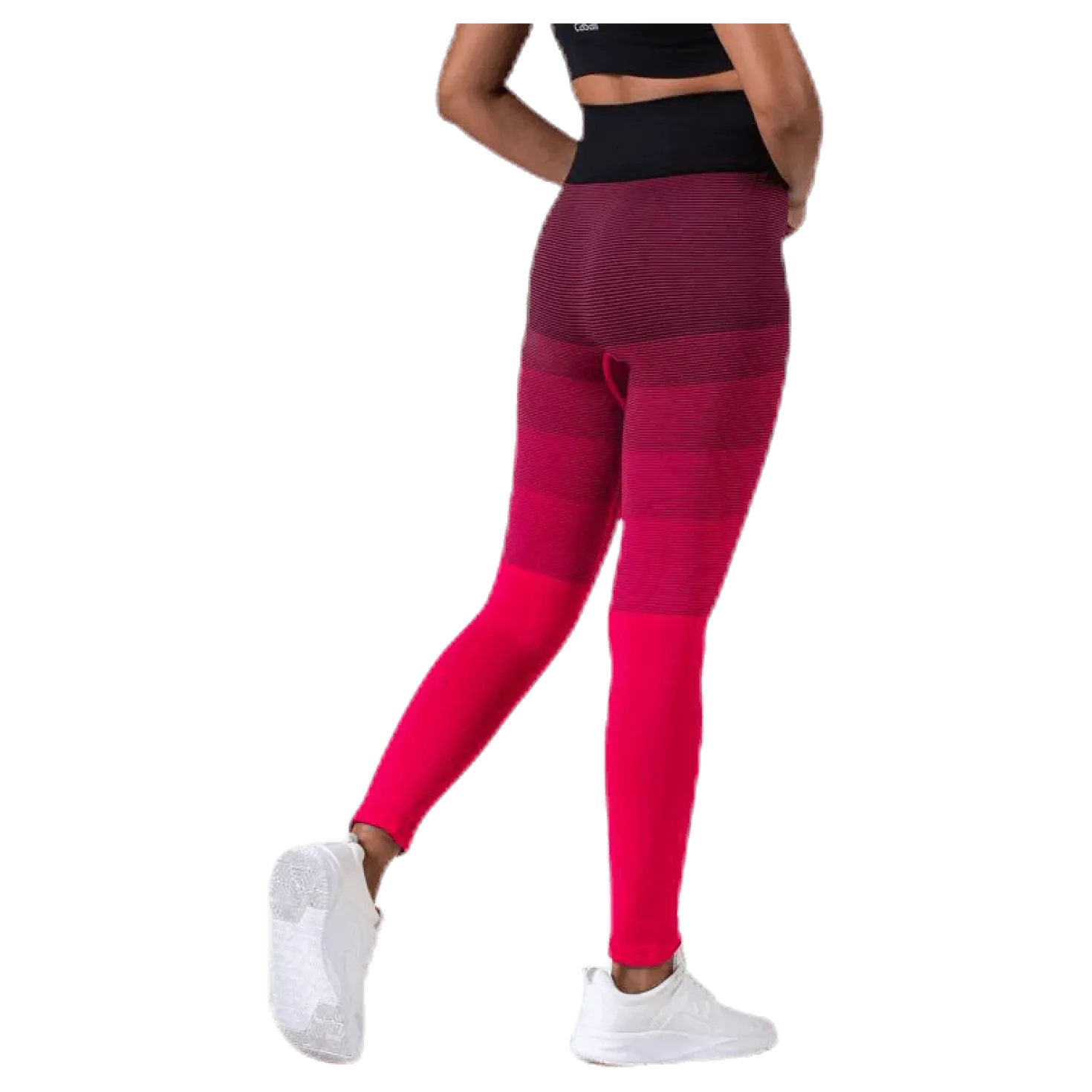 Gradient Seamless Tights Pink
