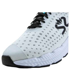 Greyhound White/Black