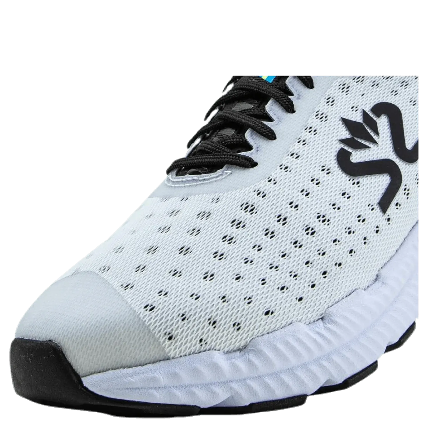 Greyhound White/Black