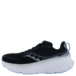 Guide 17 Black/fog