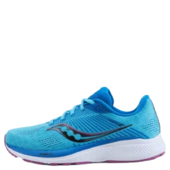 Guide 14 Blue Blaze/berry