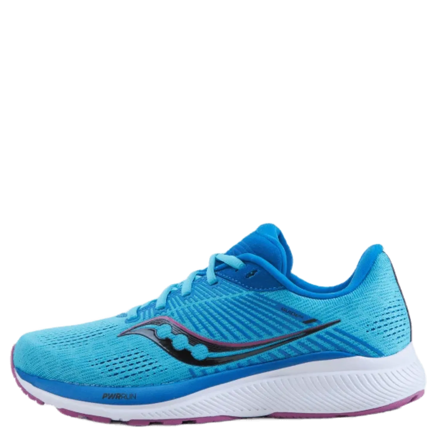 Guide 14 Blue Blaze/berry