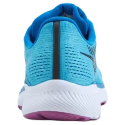 Guide 14 Blue Blaze/berry