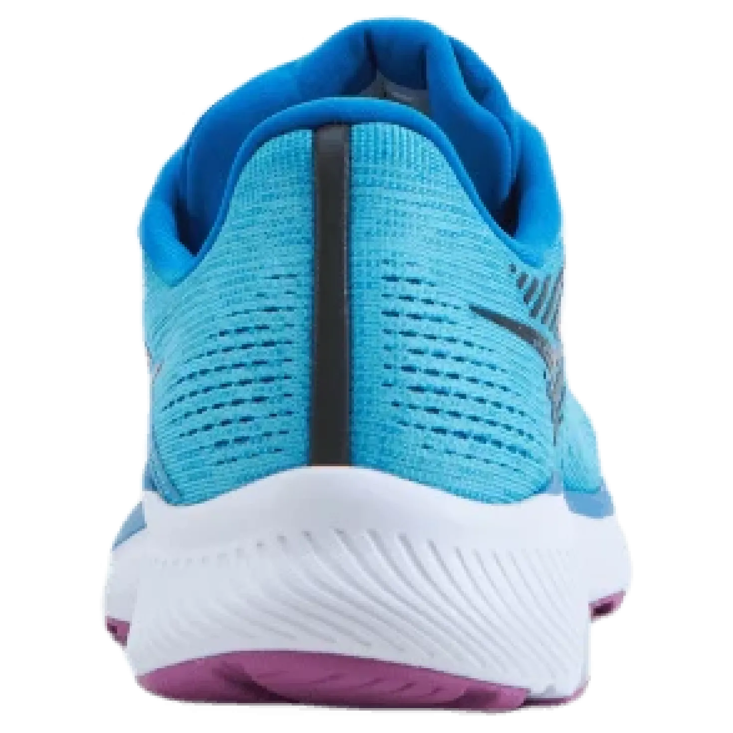Guide 14 Blue Blaze/berry