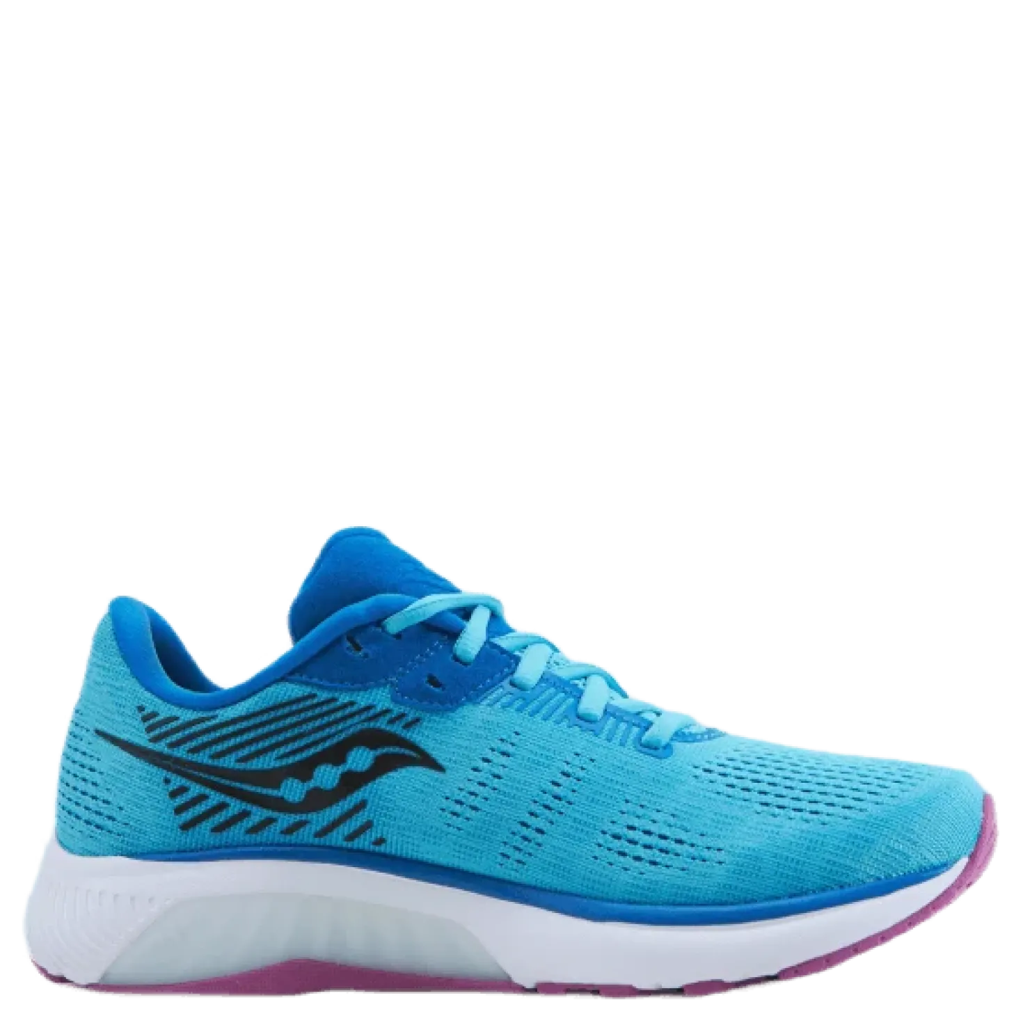 Guide 14 Blue Blaze/berry