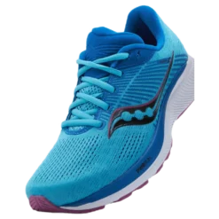 Guide 14 Blue Blaze/berry