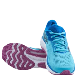 Guide 14 Blue Blaze/berry