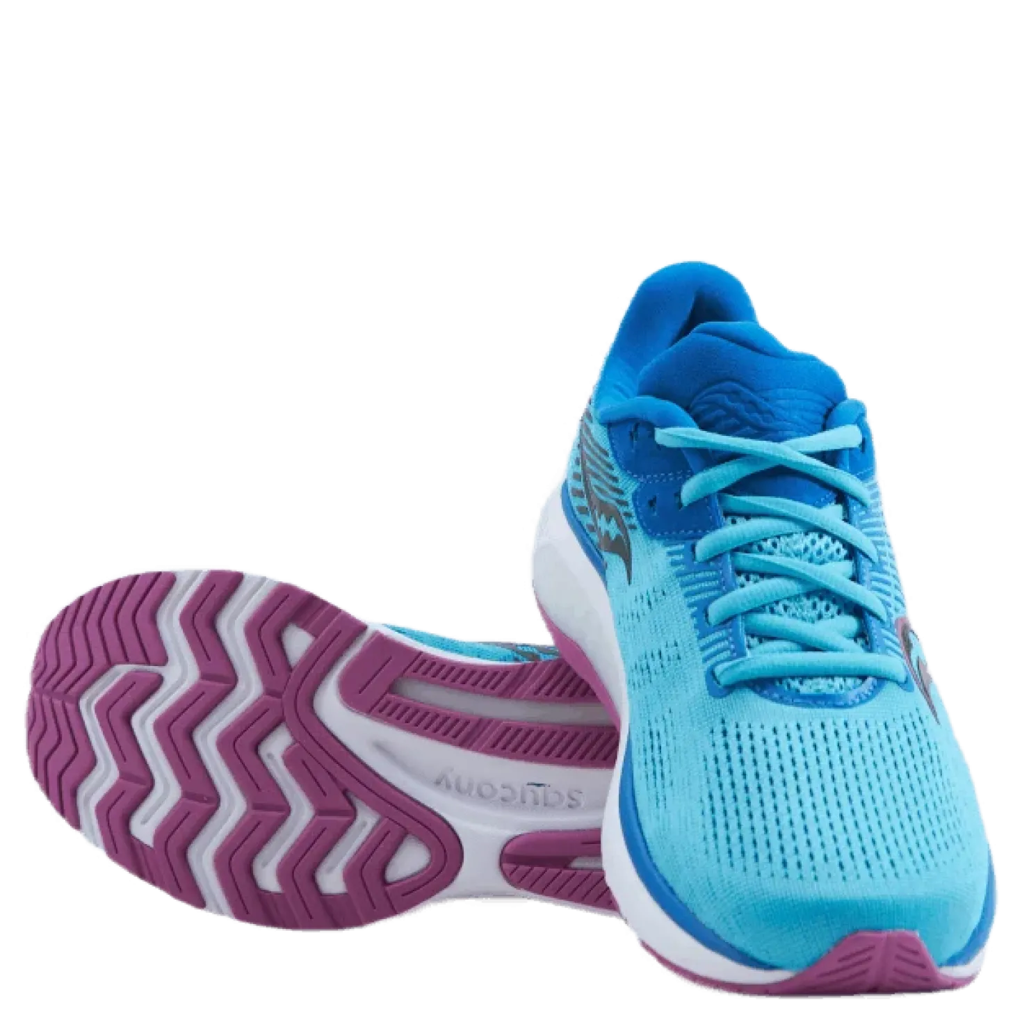 Guide 14 Blue Blaze/berry