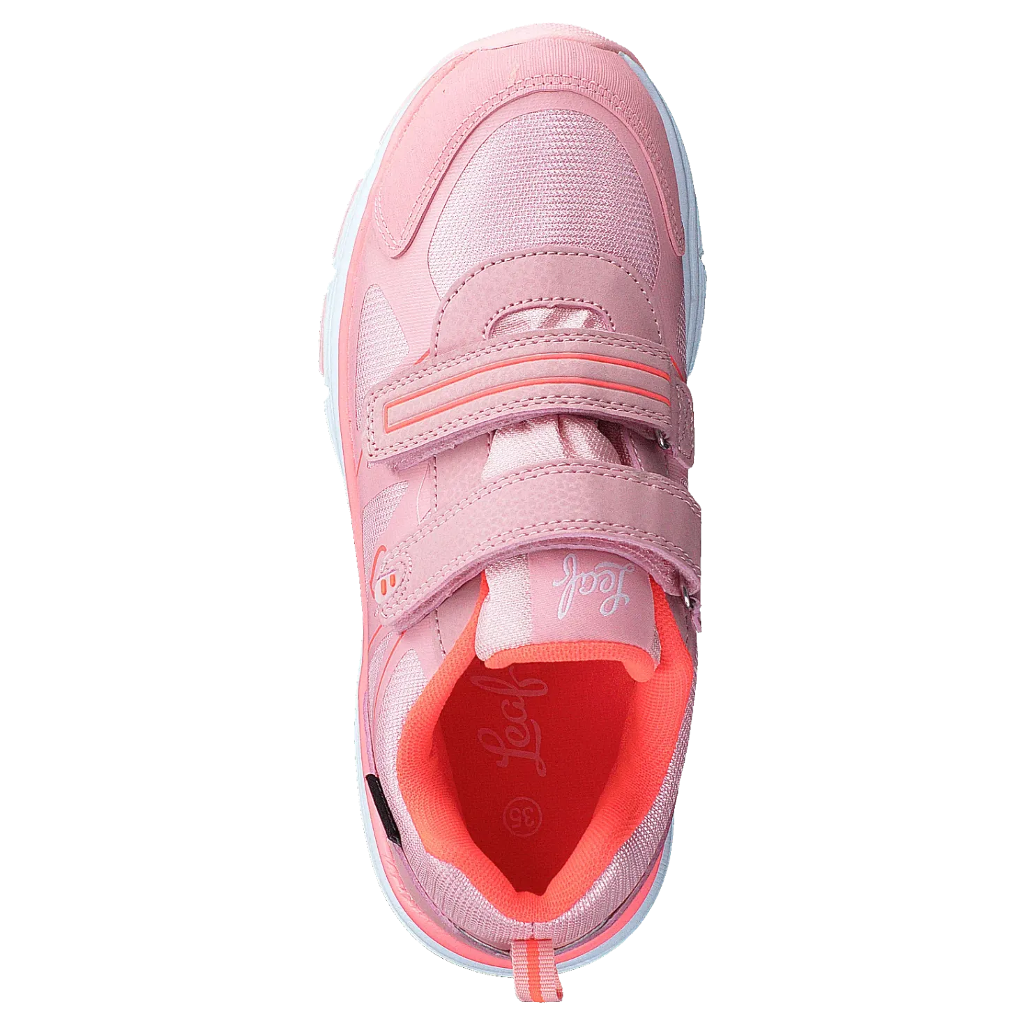 Hamar Coral