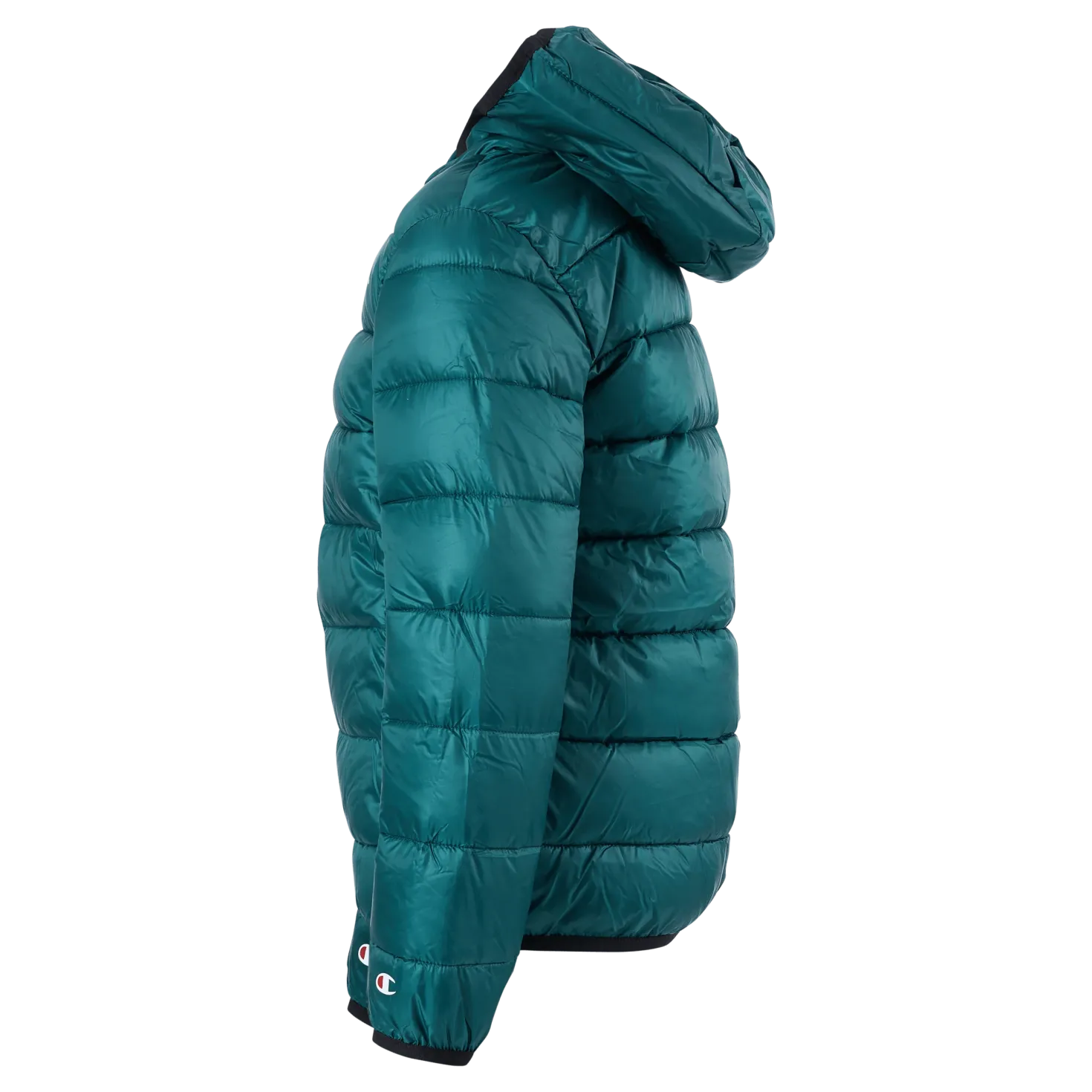 Hooded Jacket Rain Forest