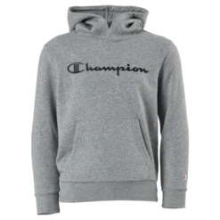 Hooded Sweatshirt Gray Melange Light
