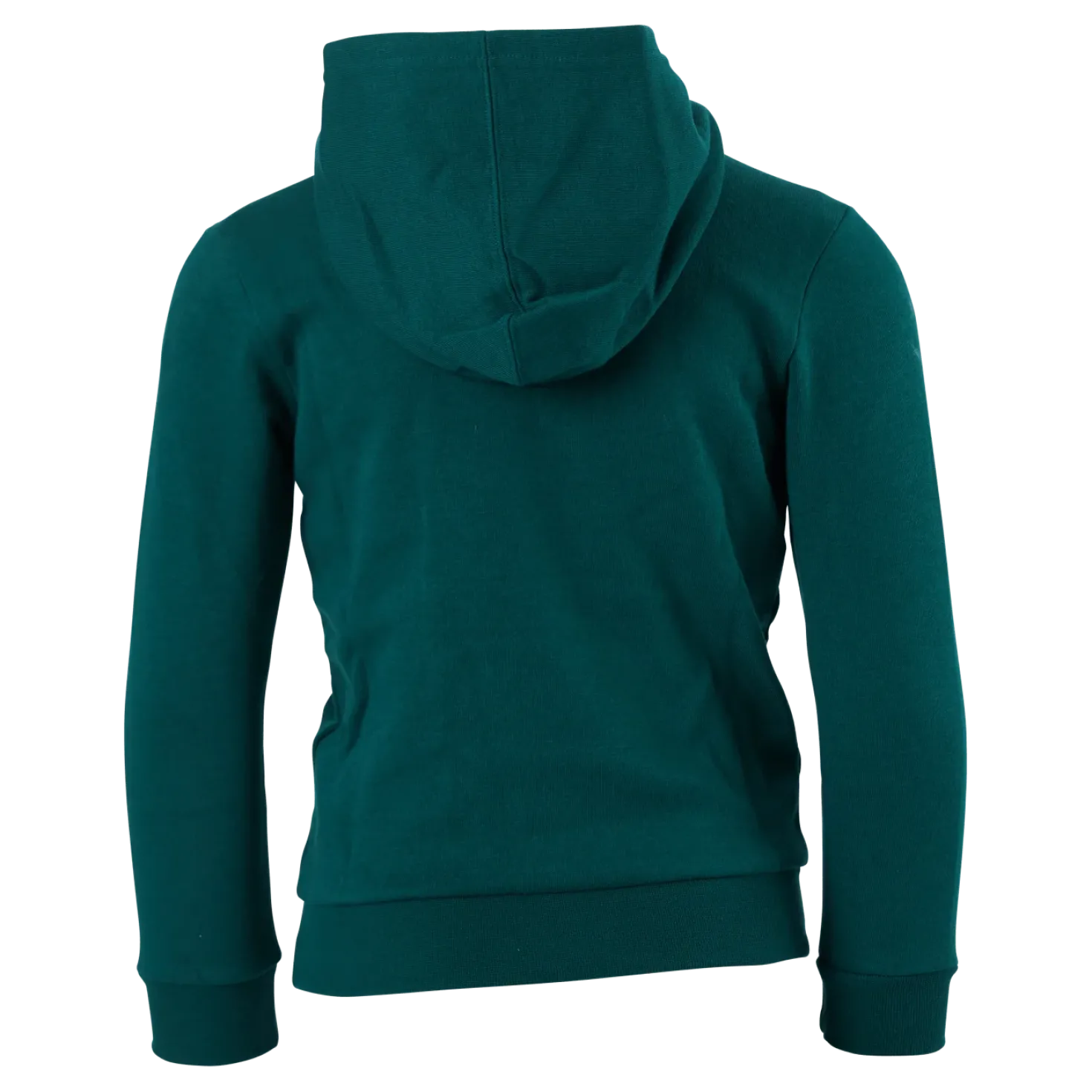Hooded Sweatshirt Rain Forest