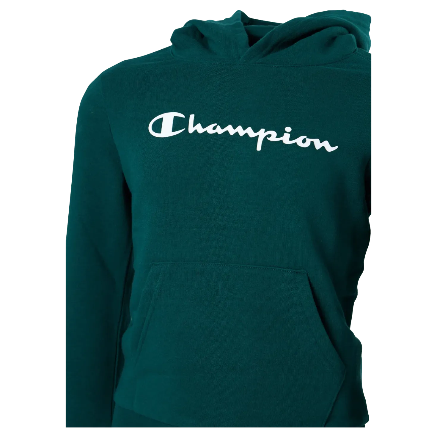 Hooded Sweatshirt Rain Forest