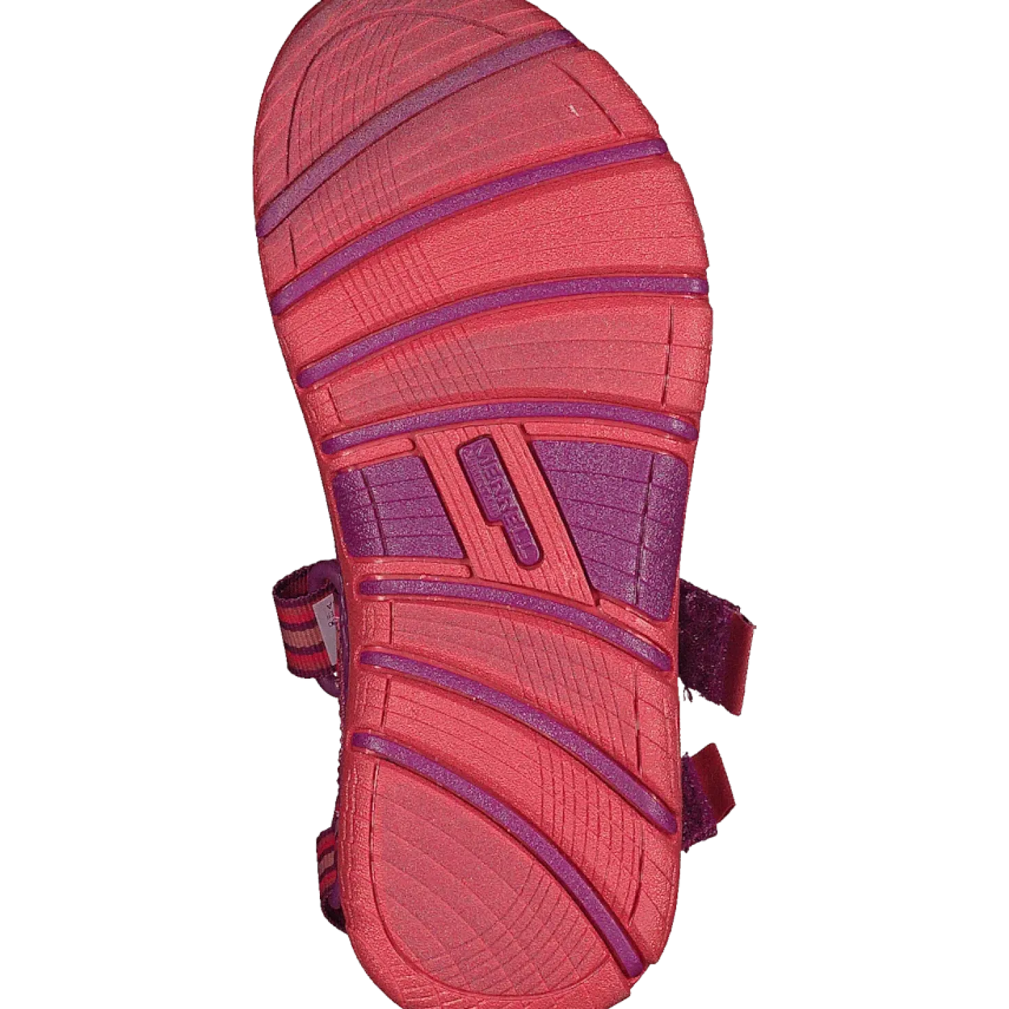 Hydro Blaze Purple/coral