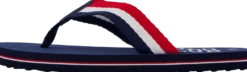 Jamison Flip Flops Blue