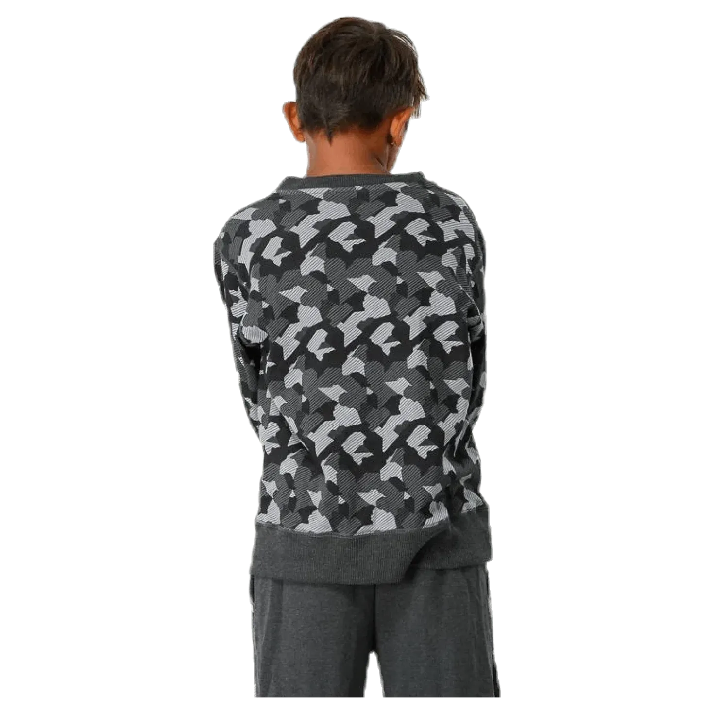 Junior Trevor Crewneck Patterned/Grey