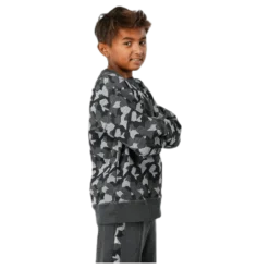 Junior Trevor Crewneck Patterned/Grey
