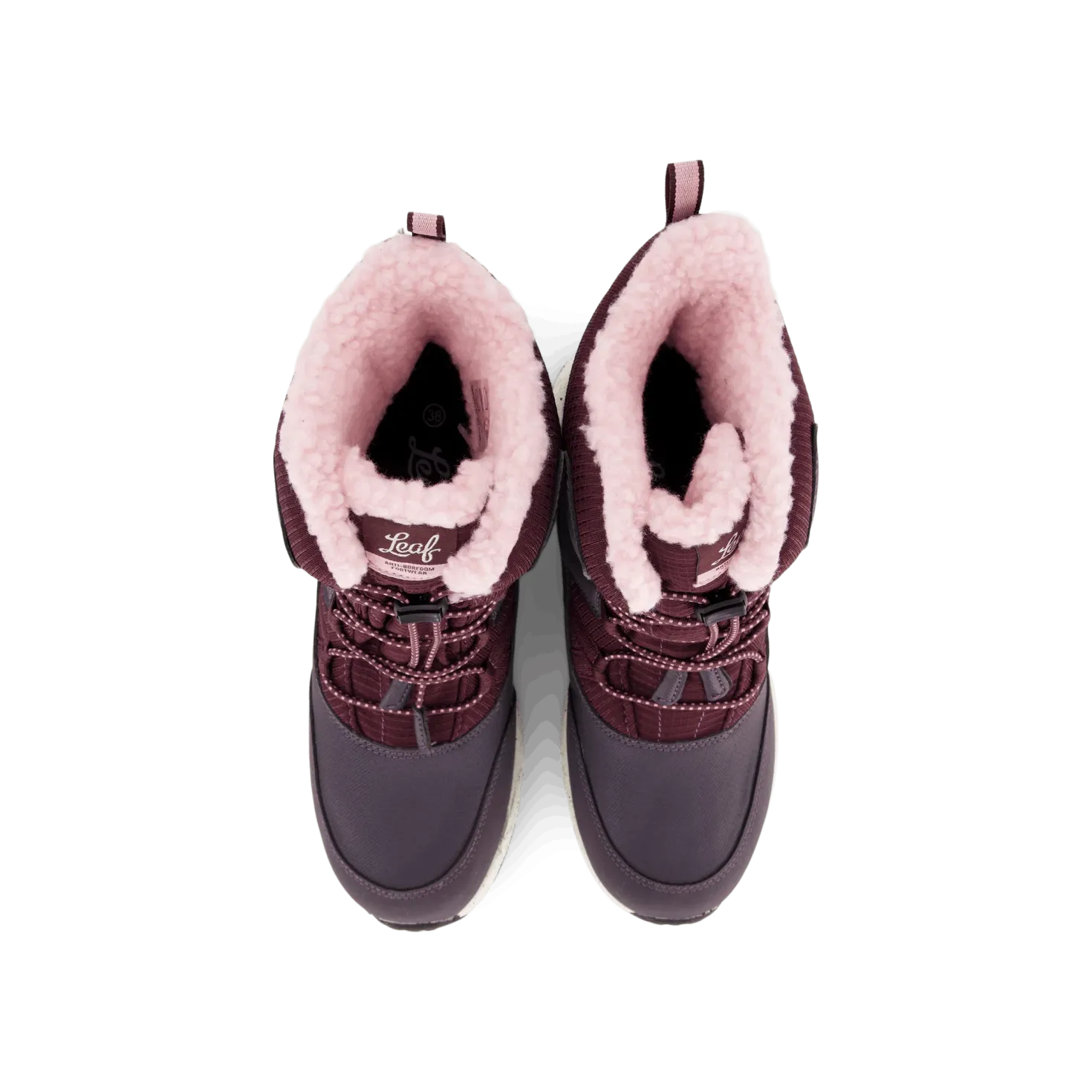 Kardis Lilac