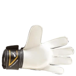 King 4 Black/Gold