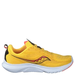 Kinvara 13 Vizigold/vizired