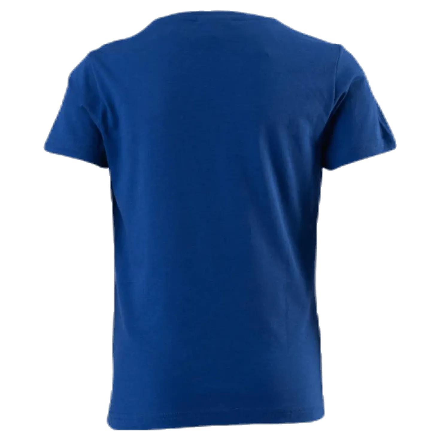 Legacy T-Shirt Junior Blue