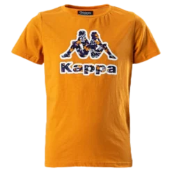 Logo Berk Orange