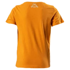Logo Berk Orange